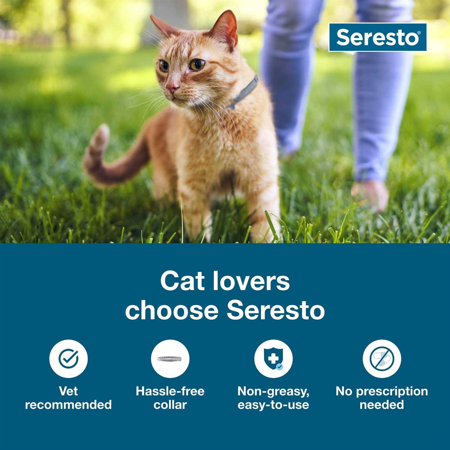 Bayer Seresto 8 Month Flea & Tick Prevention Collar for Cats - Nail Gallerys