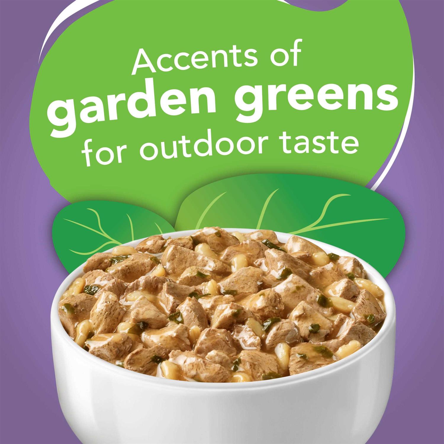 Friskies Homestyle Turkey Dinner Wet Indoor Cat Food - Nail Gallerys