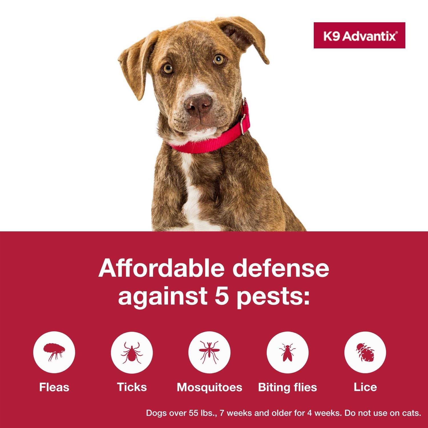 K9 Advantix Flea Tick Mosquito Prevention for Extra Large Dogs Over 55 Lbs - Nail Gallerys