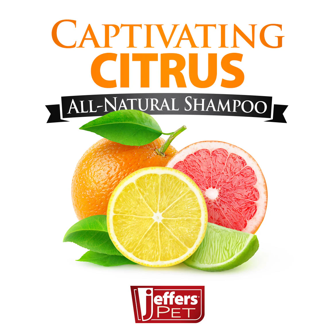 Captivating Citrus Shampoo for Dogs and Cats - Nail Gallerys