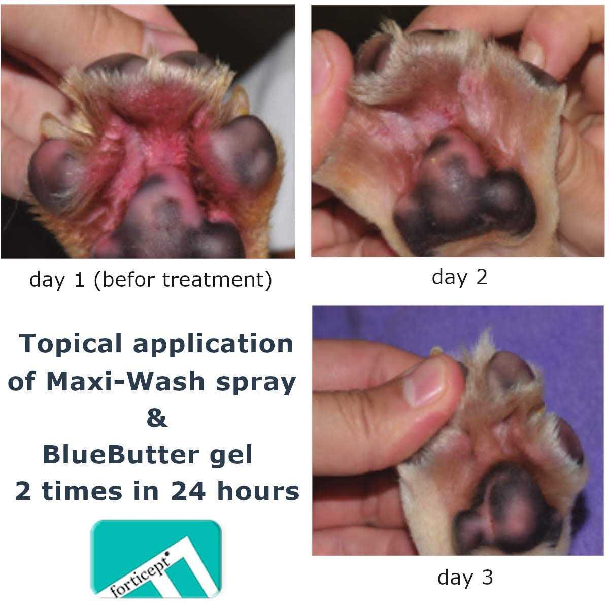Forticept Blue Butter Hot Spot Treatment for Dogs & Cats Dog Wound Care - Nail Gallerys