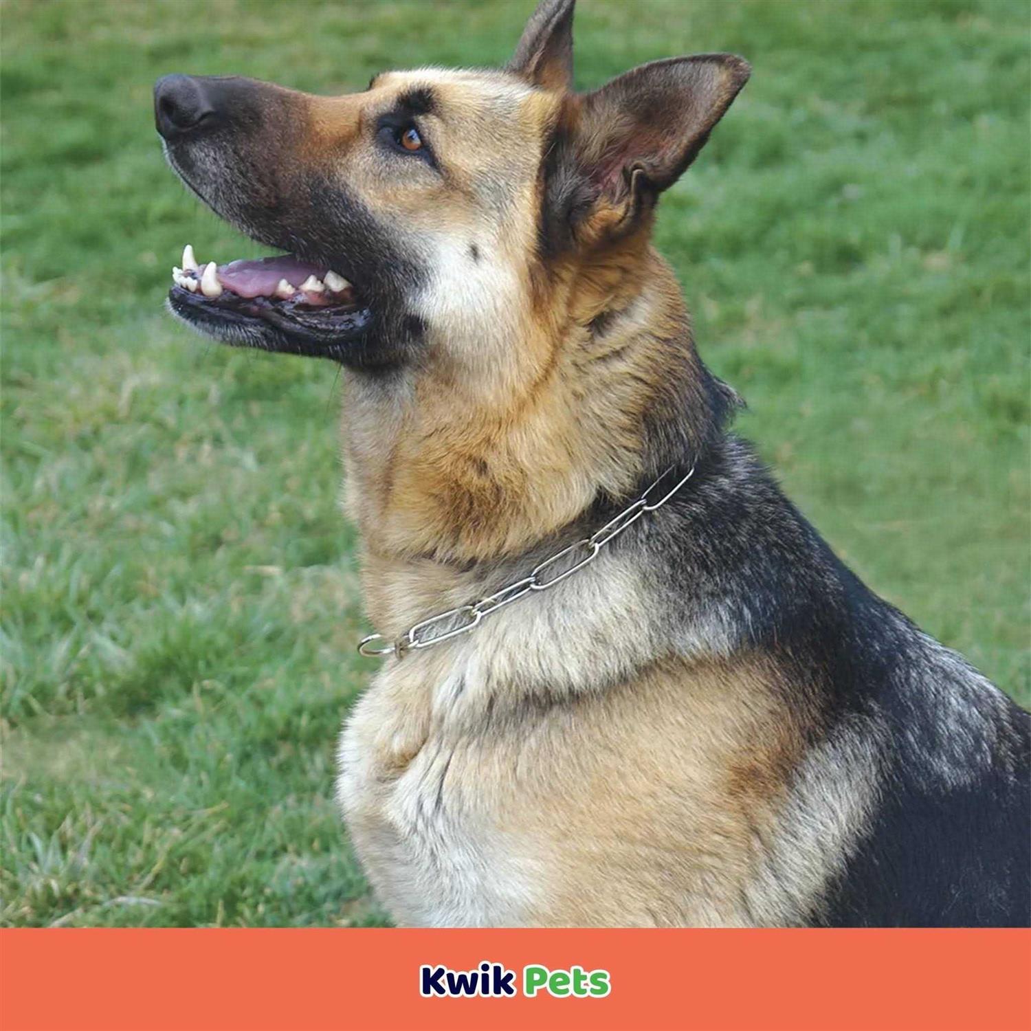 Herm Sprenger Fur Saver Link Chain Training Dog Collar - Nail Gallerys