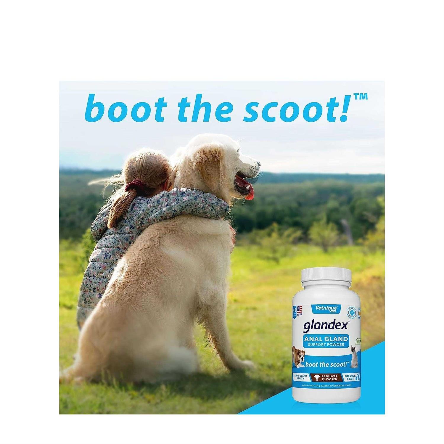 Glandex Anal Gland Support Powder for Dogs & Cats - Nail Gallerys