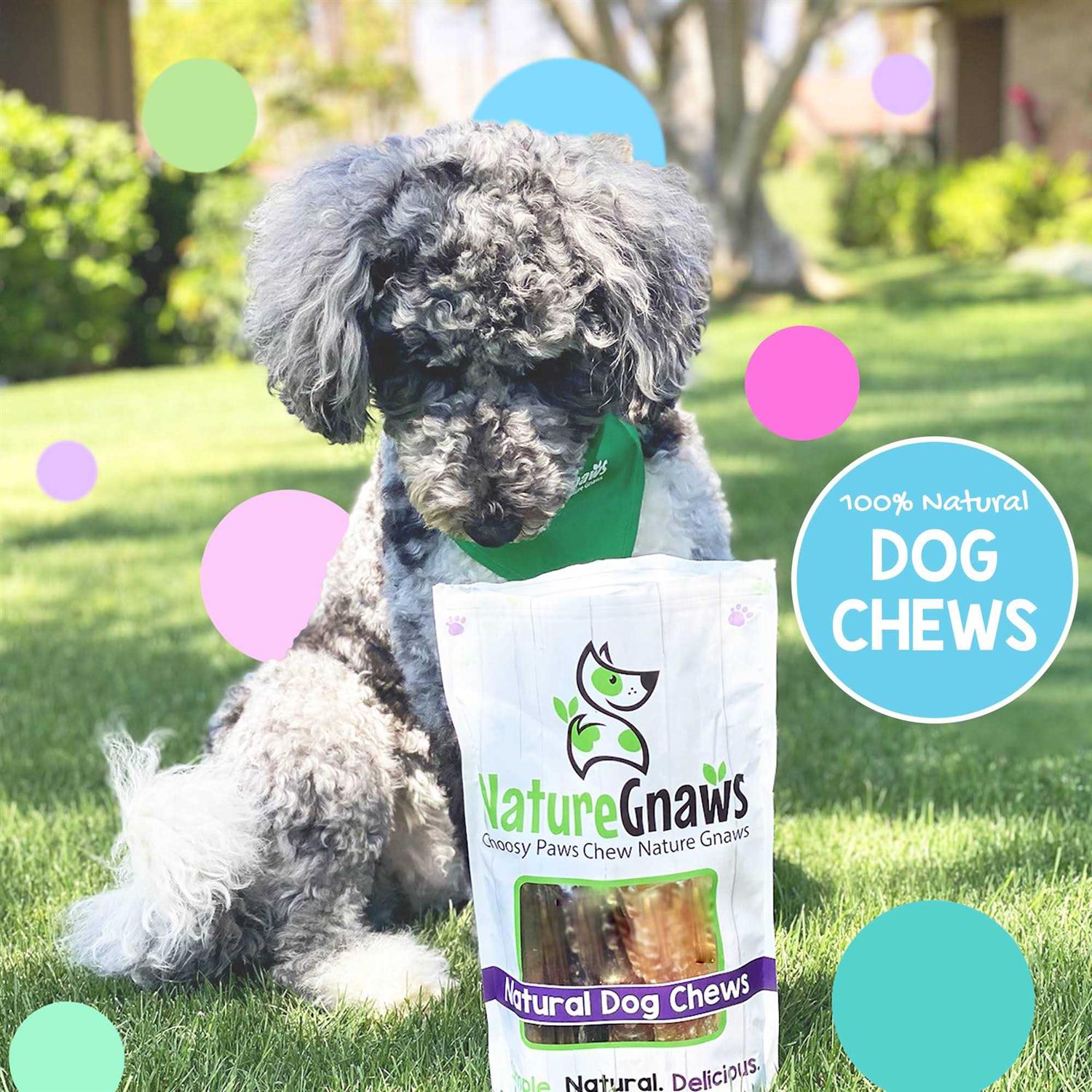 Nature Gnaws Variety Pack Natural Dog Chews - Nail Gallerys