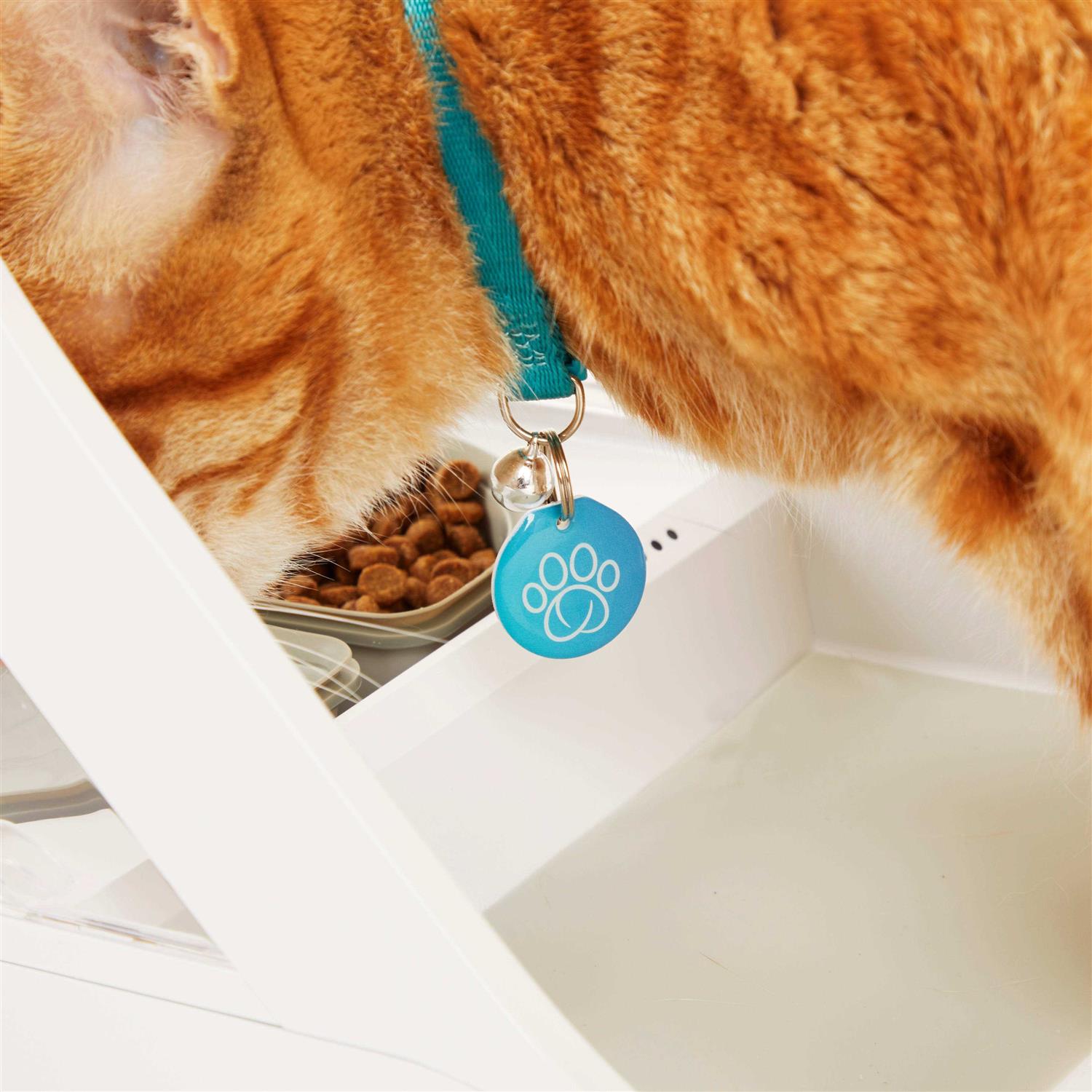 Sure Petcare SureFeed Microchip Pet Feeder Connect - Nail Gallerys