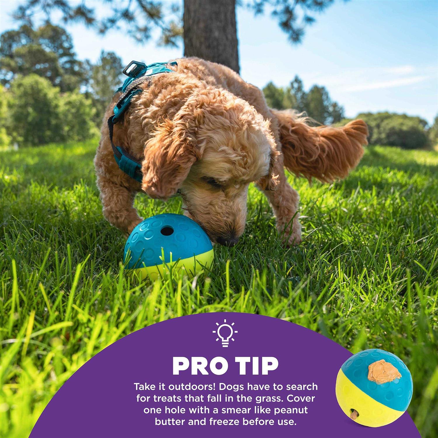 Nina Ottosson Treat Tumble Dog Toy - Nail Gallerys