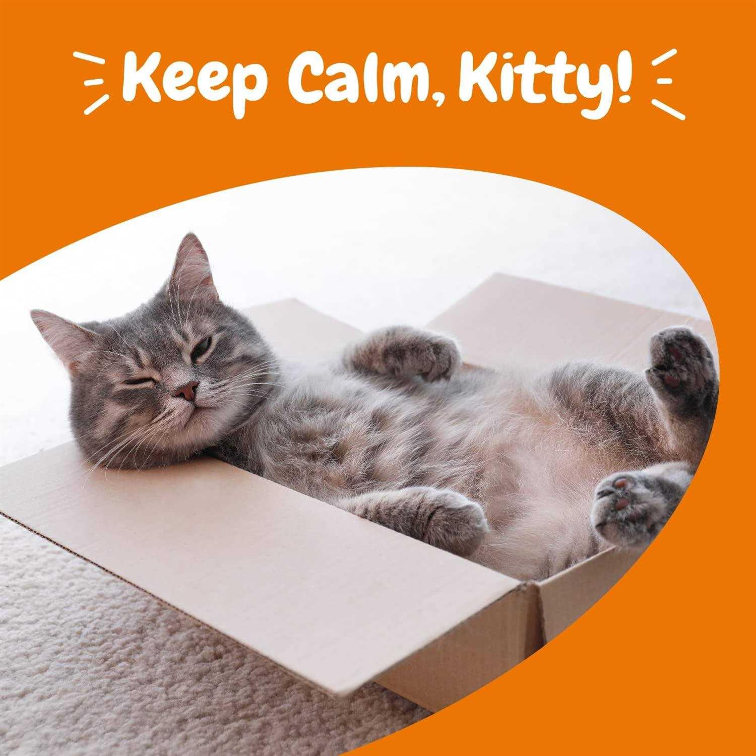 Zesty Paws Calming Bites for Cats - Nail Gallerys