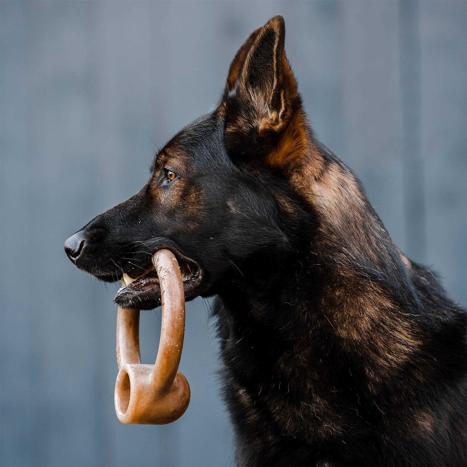 Lumabone Ring Stuffer Durable Chew Toy for Aggressive Chewers - Nail Gallerys