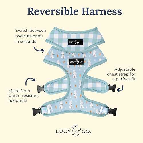 The Funny Bunny Reversible Dog Harness | Lucy & Co Medium - Nail Gallerys