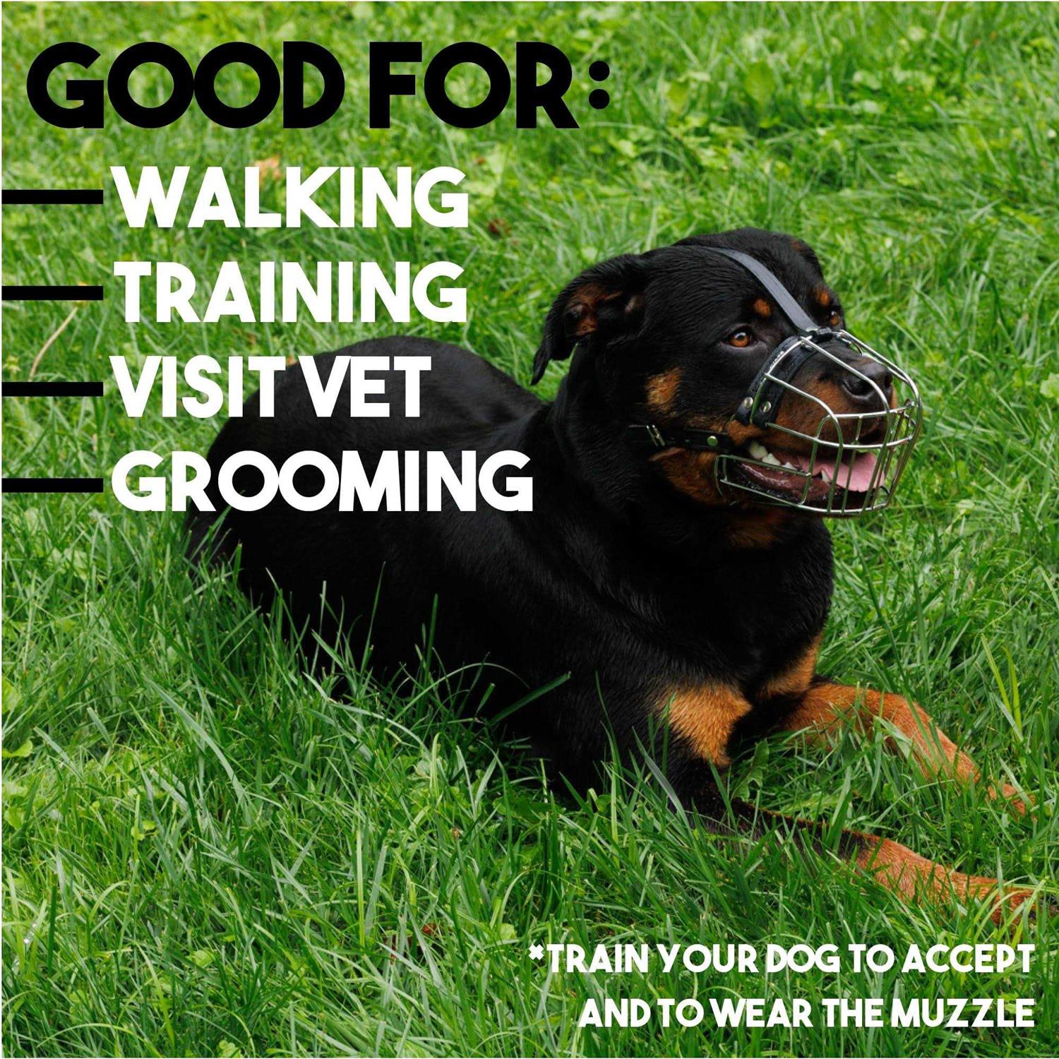 BRONZEDOG Dog Muzzle Wire Basket Rottweiler Adjustable Leather Straps - Nail Gallerys