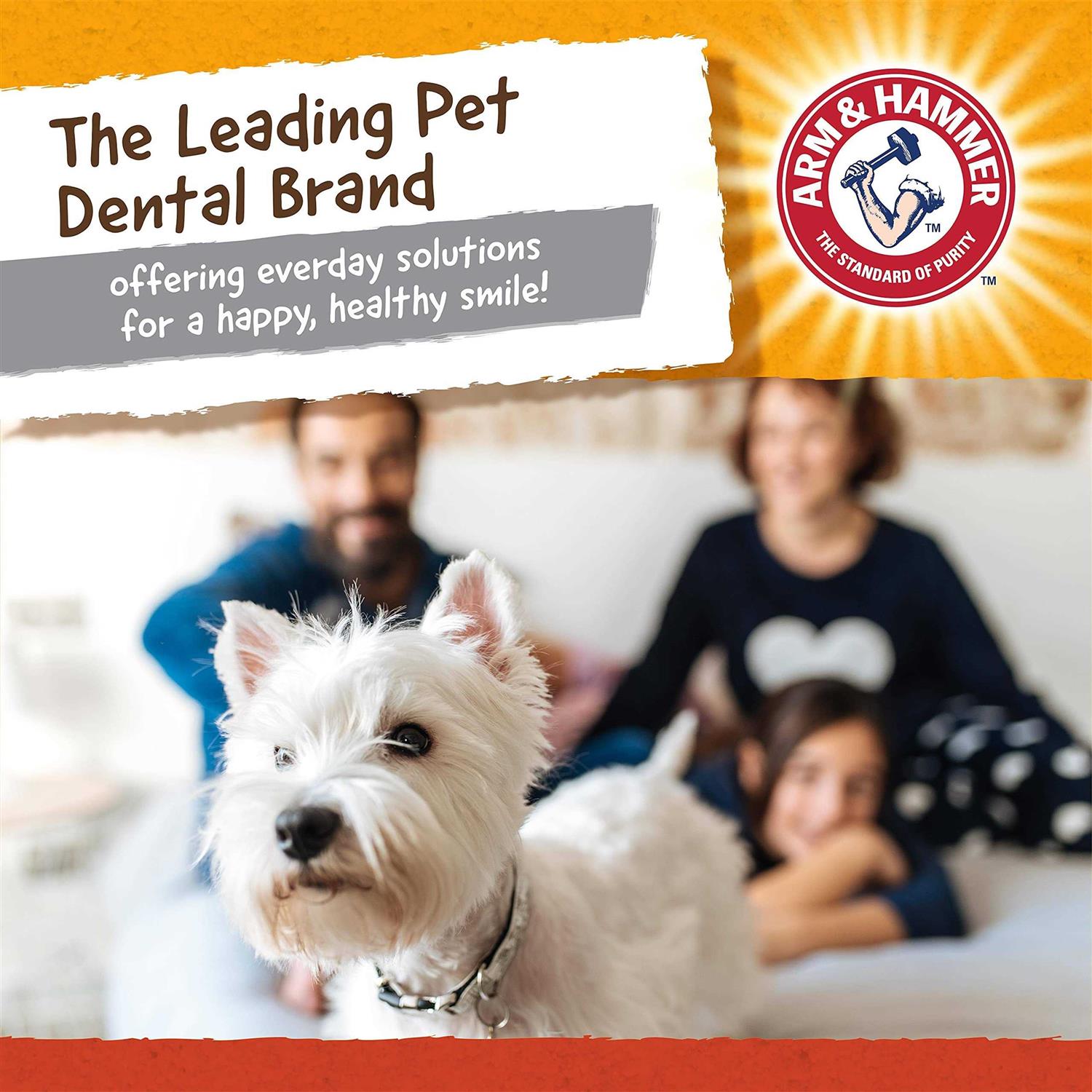 Arm & Hammer Treadz Gorilla Dental Dog Toy - Nail Gallerys