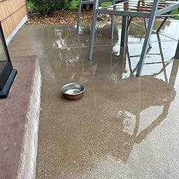 Neater Pet Brands Hammered Decorative Designer Bowls - Nail Gallerys