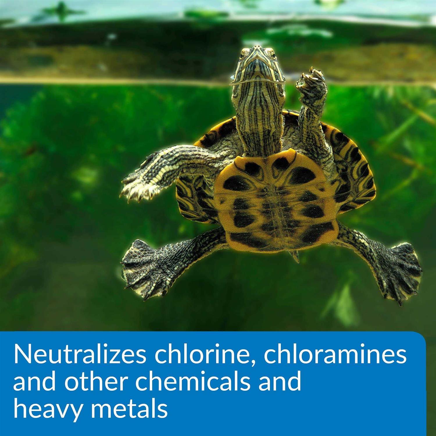 API Turtle Water Conditioner - Nail Gallerys