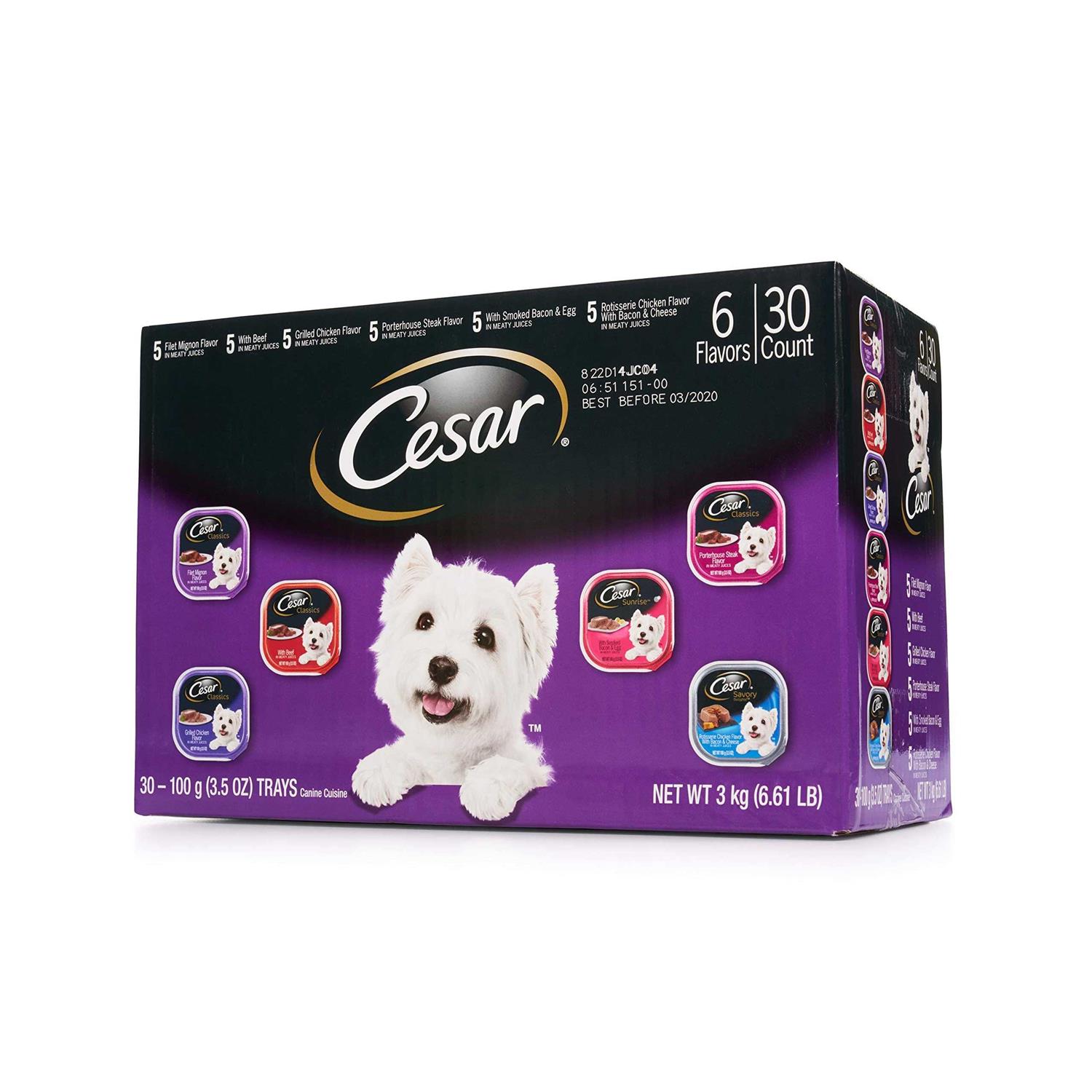Cesar Canine Cuisine Wet Dog Food - Nail Gallerys