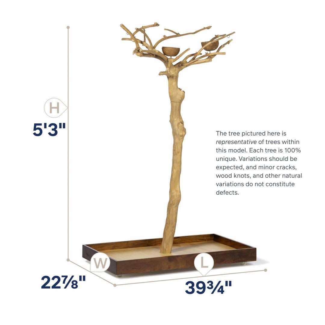 Prevue Pet Products Coffeawood Tree Style #2 Floor Stand Small - Nail Gallerys