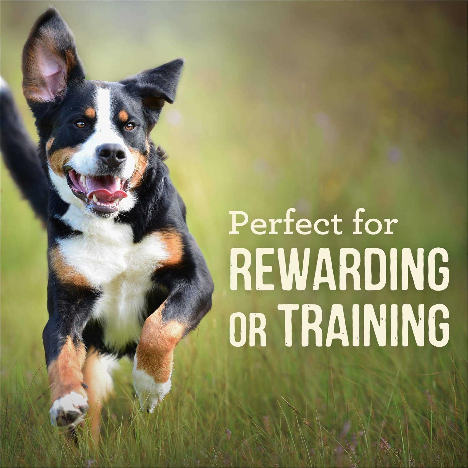 Merrick Power Bites Chicken Dog Treats - Nail Gallerys