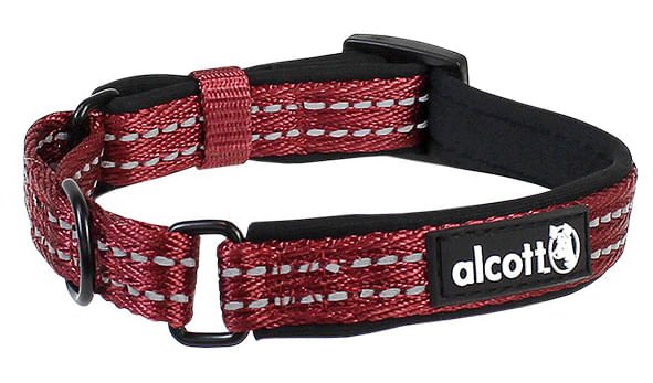 alcott Martingale Collar - Nail Gallerys