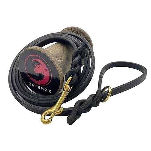 Ravenox 6 FT Braided Leather Dog Leash - Nail Gallerys