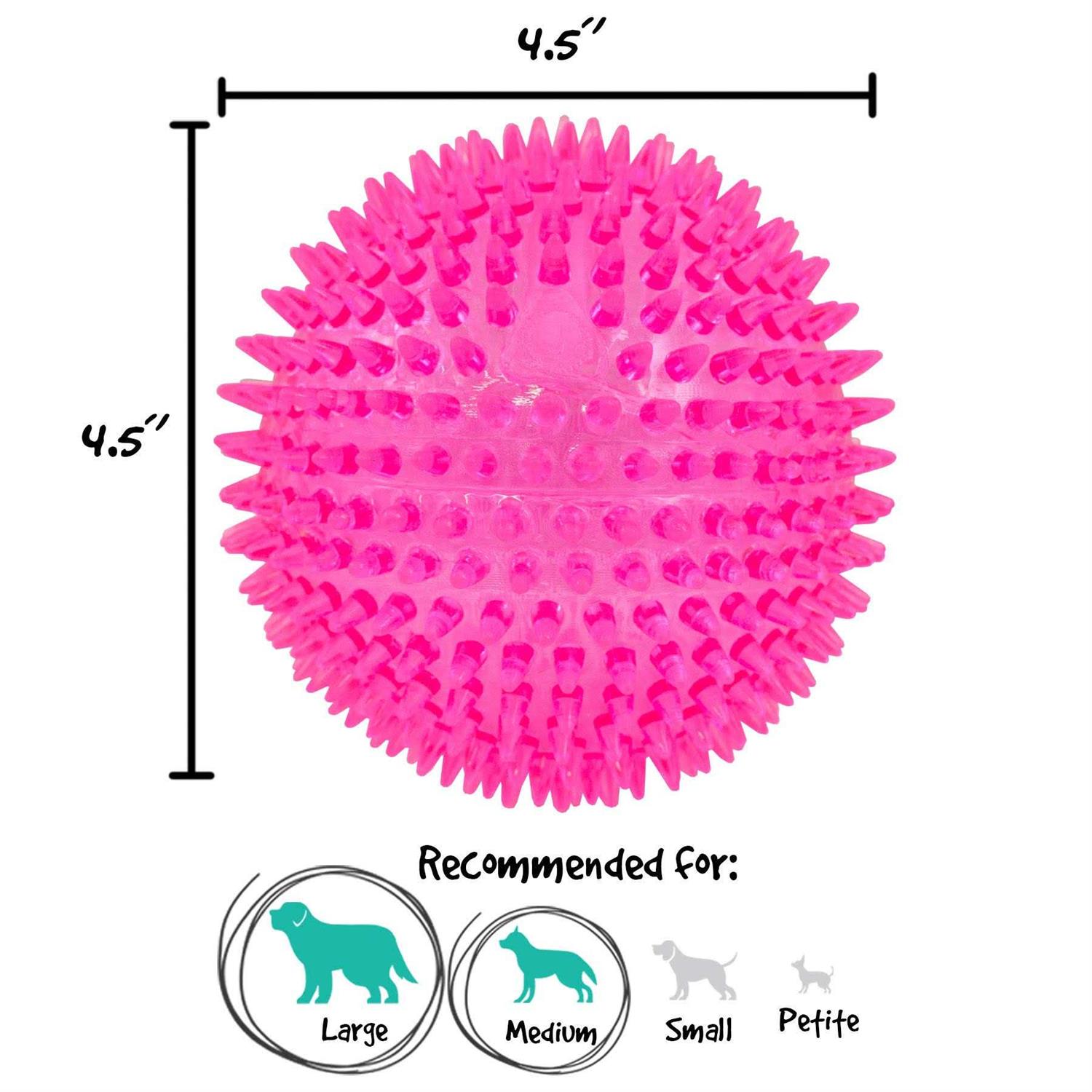 Gnawsome Squeaker Ball Dog Toy - Nail Gallerys
