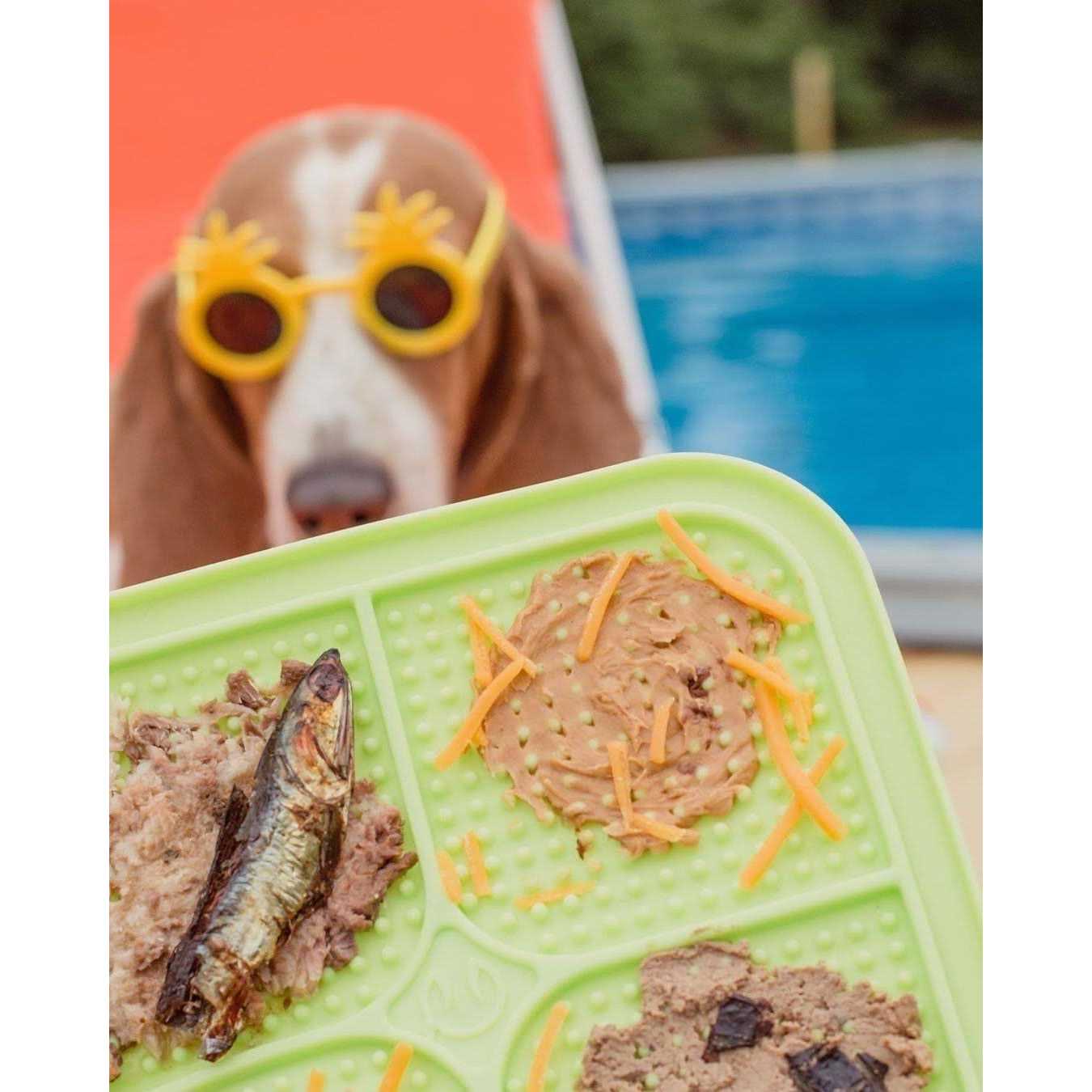 Boredom Busters Licking Mat - Nail Gallerys