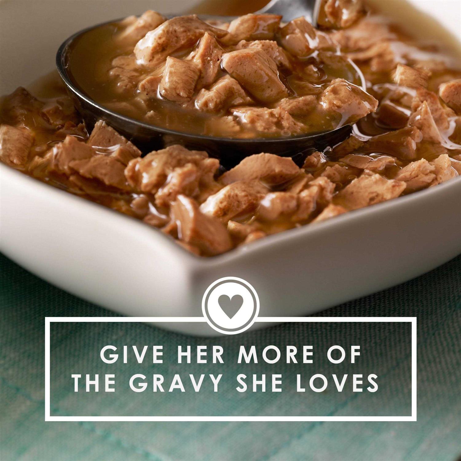 Purina Fancy Feast Gravy Lovers - Nail Gallerys