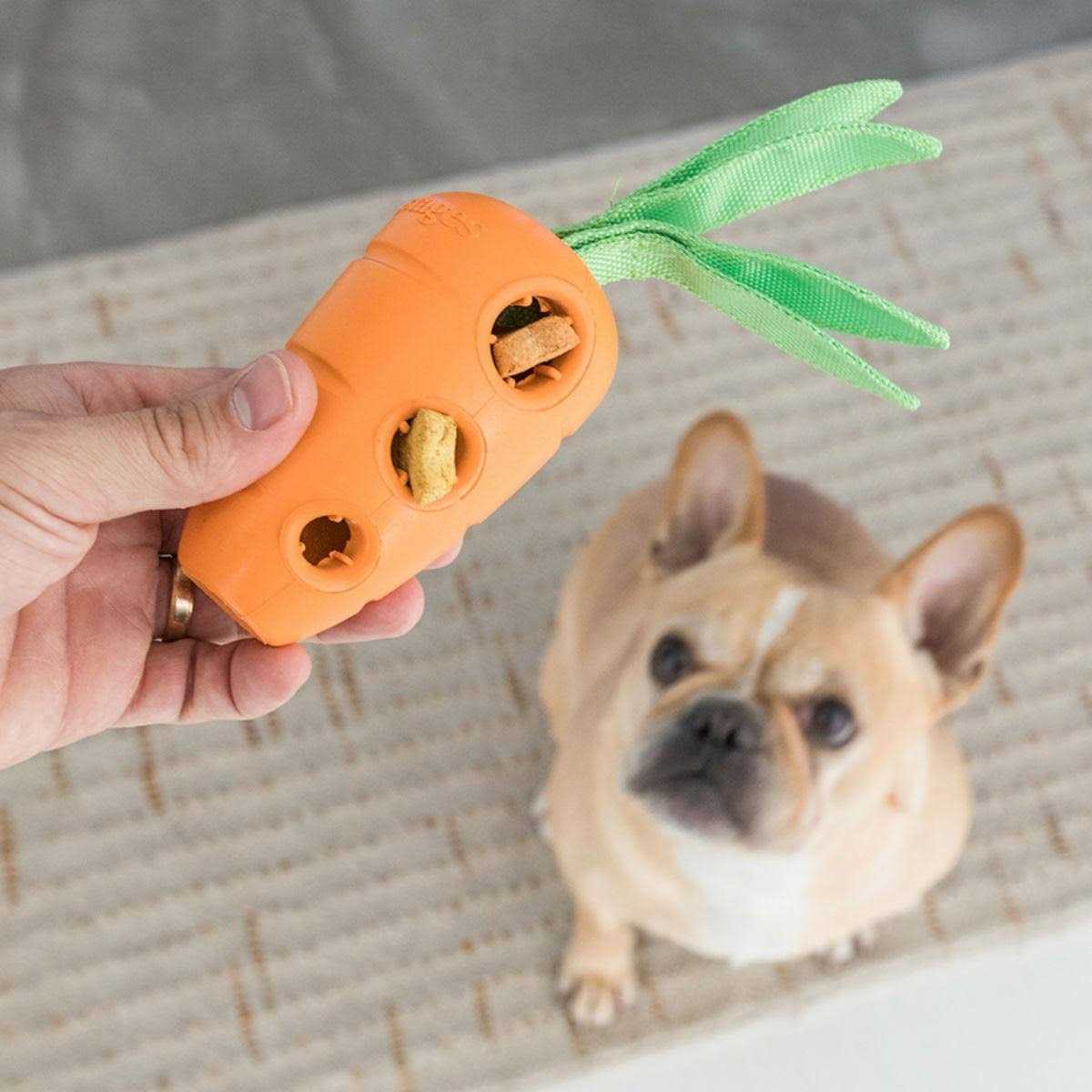 Petstages Carrot Stuffer Dog Toy - Nail Gallerys