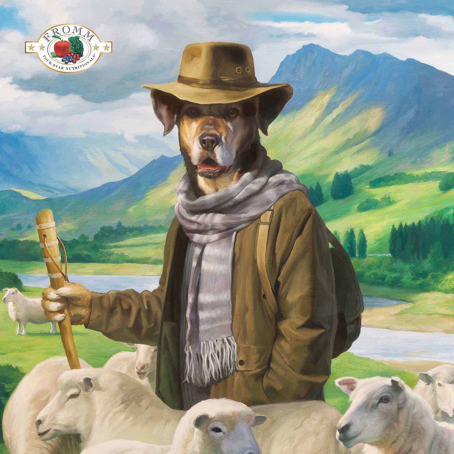 Fromm Four Star Dry Dog Food Zealambder Recipe - Nail Gallerys