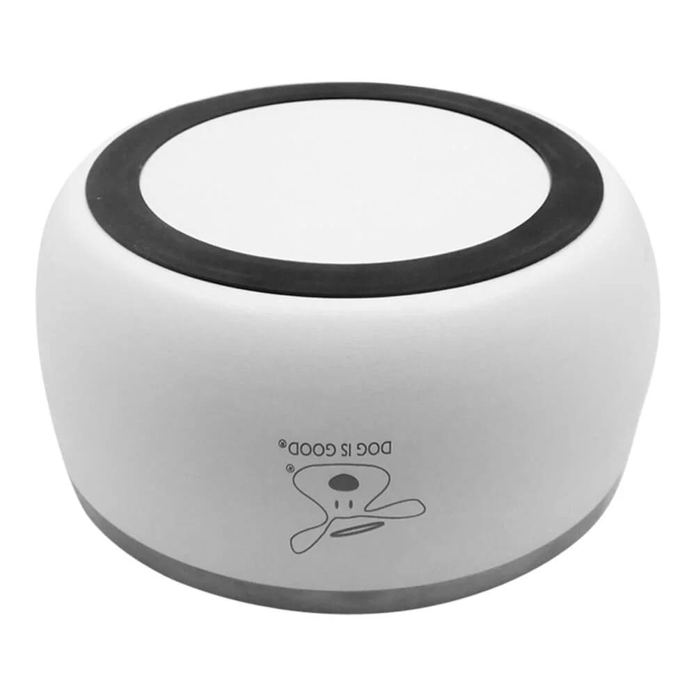 Dog is Good Stainless Steel Dog Bowl - Nail Gallerys