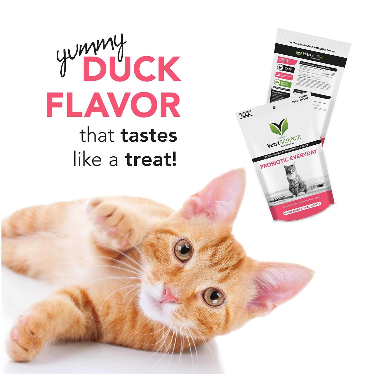 VetriScience Probiotic Everyday for Cats - Nail Gallerys