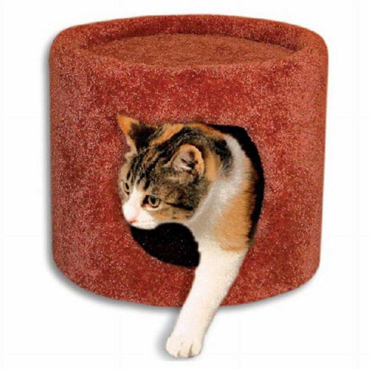 Beatrise Cat Condo - Nail Gallerys
