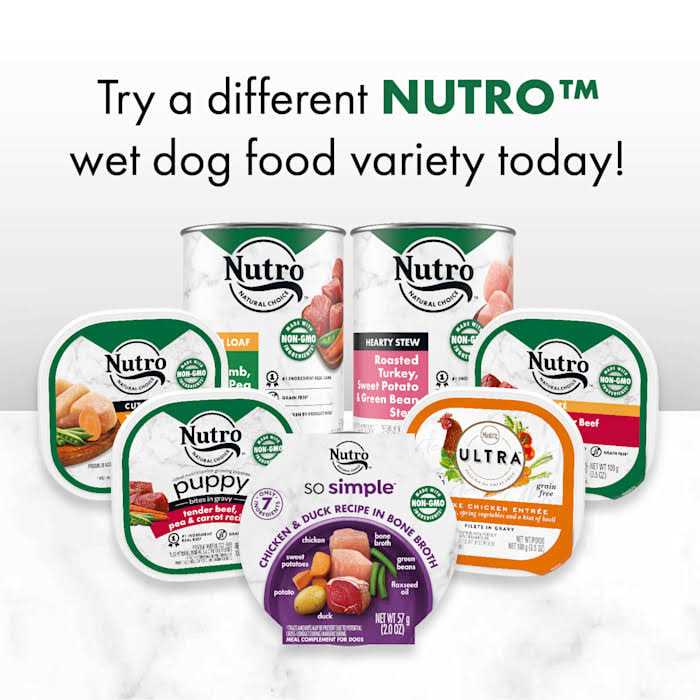 Nutro So Simple Meal Complement Wet Dog Food Chicken & Duck Recipe in Bone Broth - Nail Gallerys