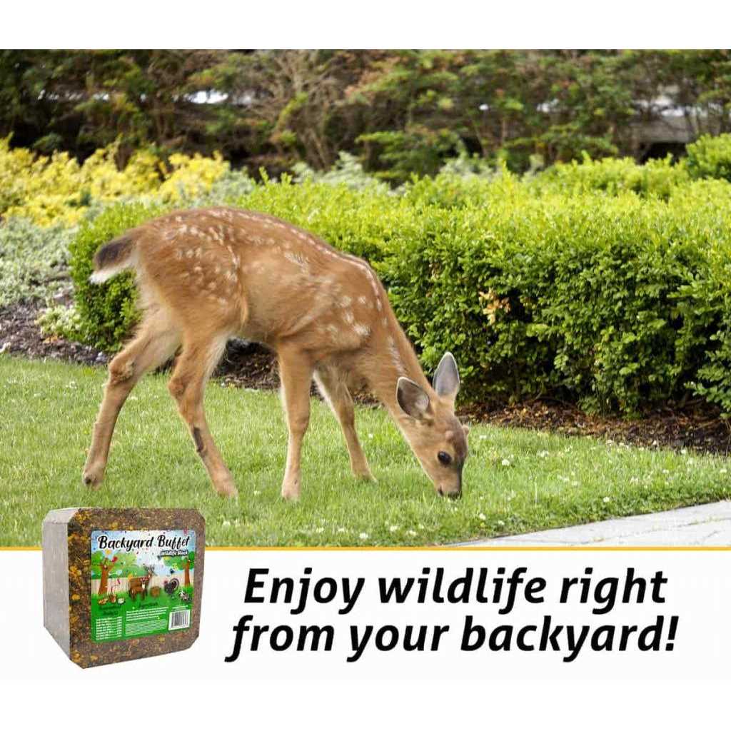 Backyard Buffet Wildlife Treat - Nail Gallerys