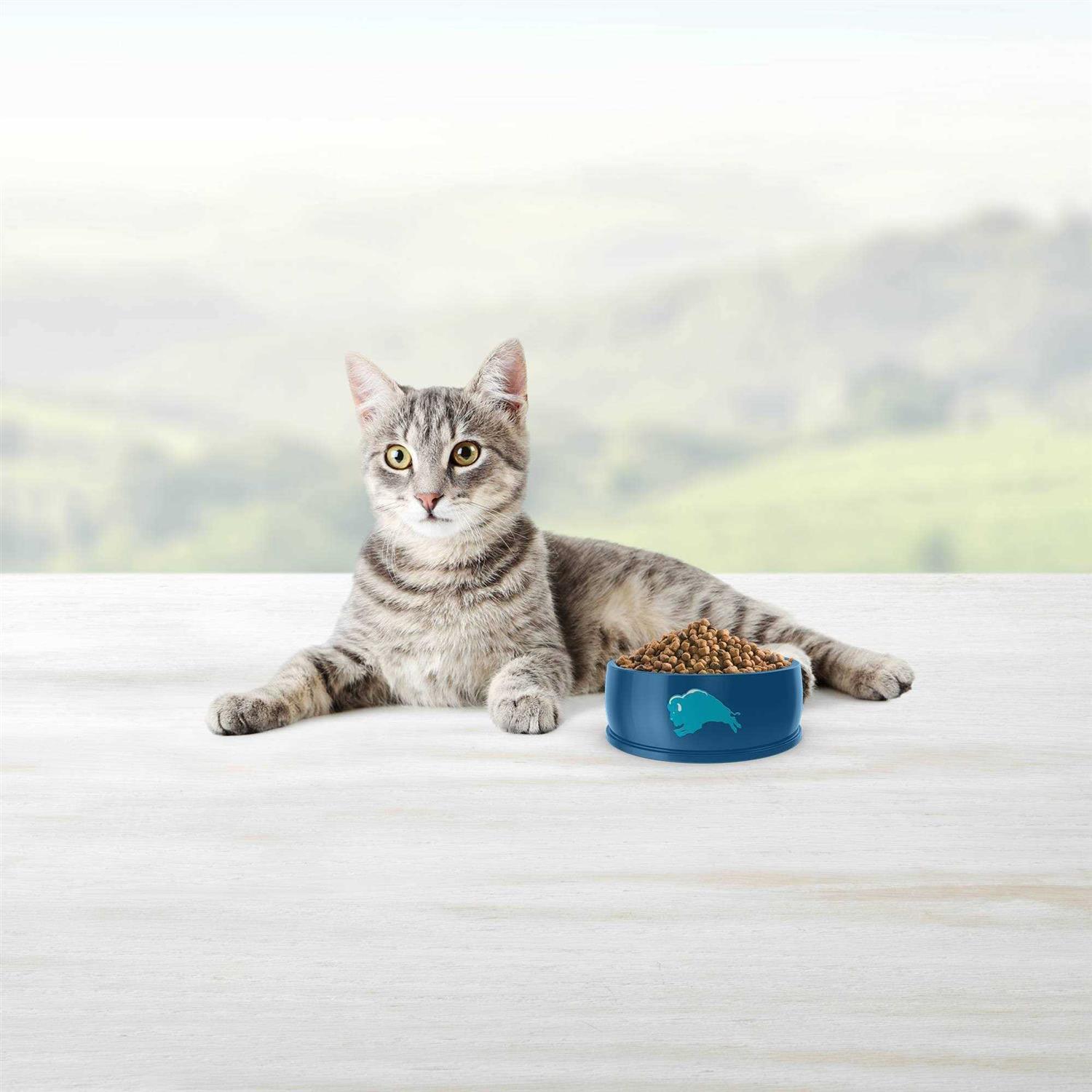 Blue Indoor Hairball Control Adult Dry Cat Food - Nail Gallerys