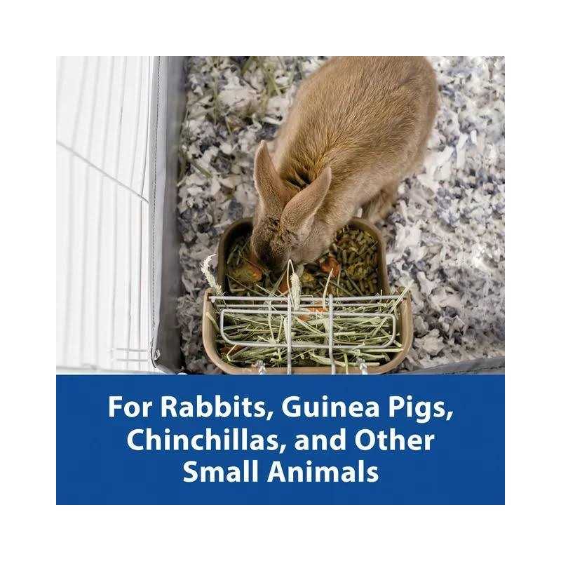 Kaytee Forti-Diet Hay & Food Feeder - Nail Gallerys