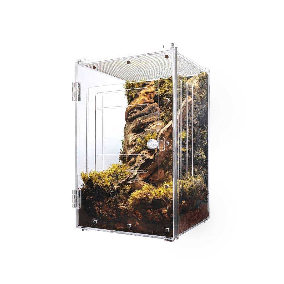 HerpCult Acrylic Reptile Enclosure Front-Opening Small Screen Top w/ Lock 8x8x12 3.3 Gallon - Nail Gallerys