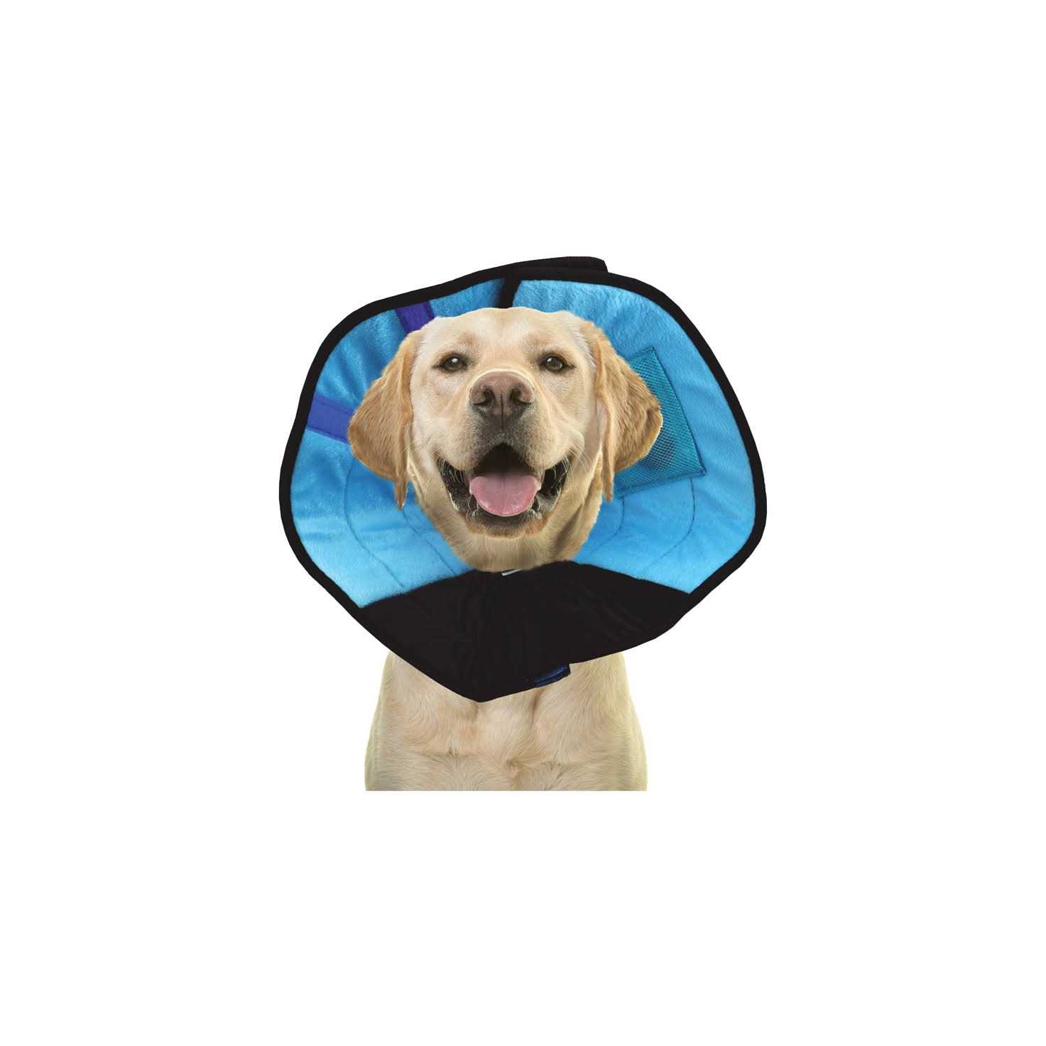 Calm Paws Cat Caring Collar w/ Calming Disk - Nail Gallerys