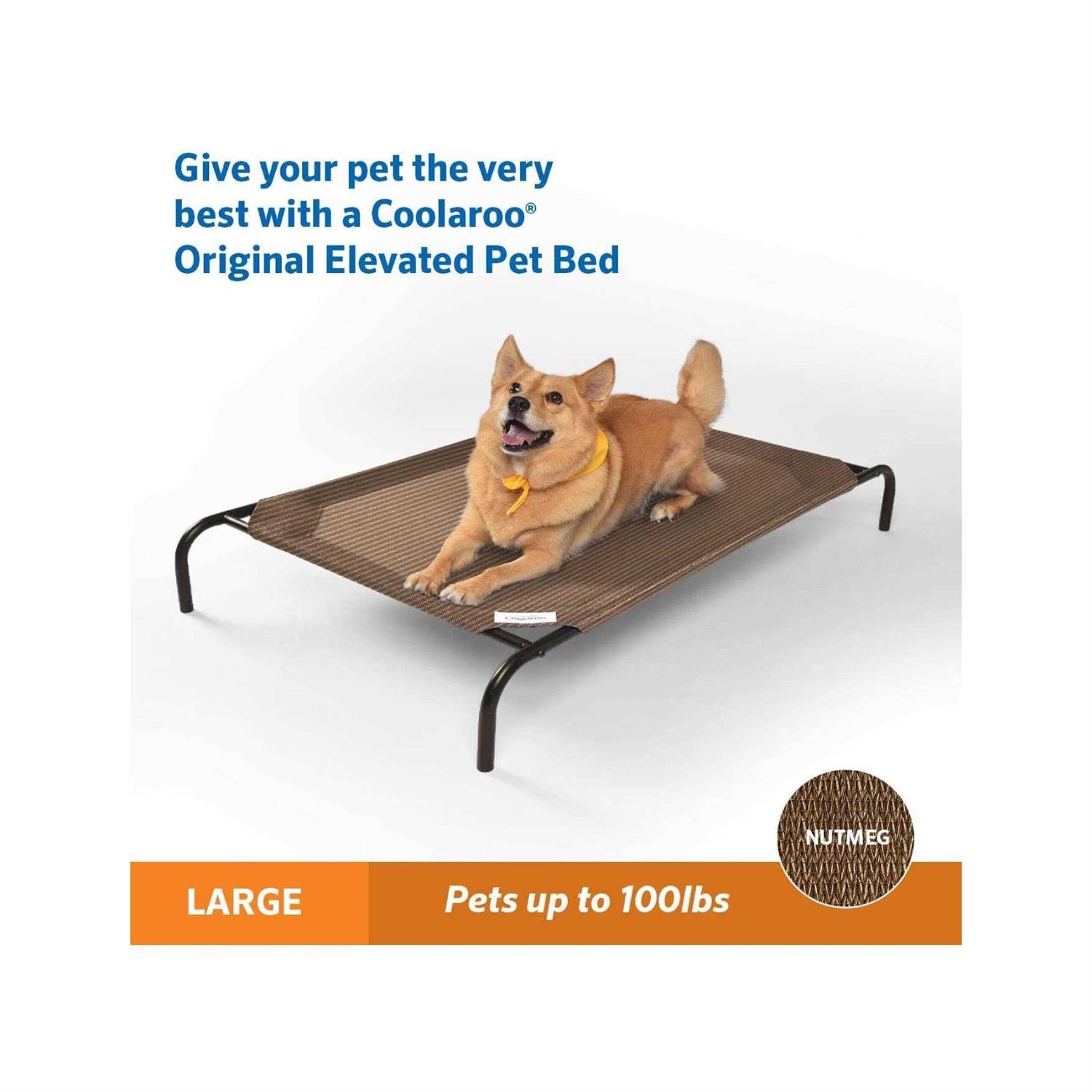 Coolaroo The Original Elevated Pet Bed - Nail Gallerys