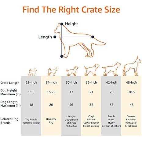 Amazon Basics Foldable Metal Wire Dog Crate with Tray - Nail Gallerys