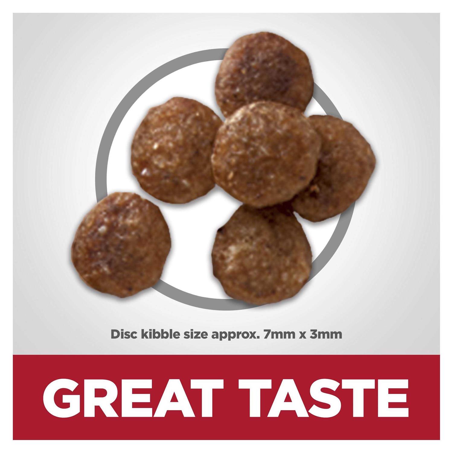 Hill’s Science Diet Adult Sensitive Stomach & Skin Small Bites Dry Dog Food - Nail Gallerys