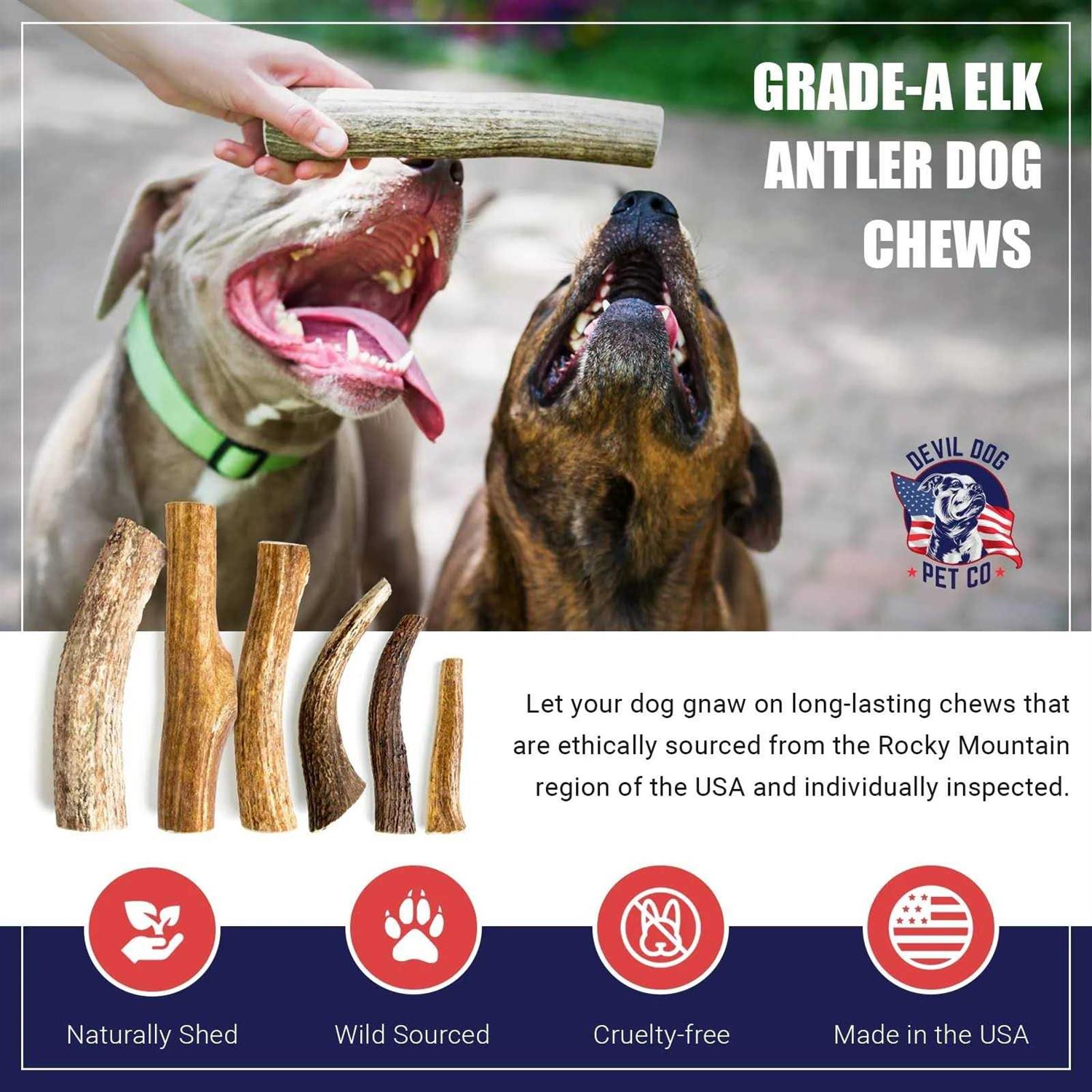 Devil Dog Pet Co Antler Dog Chew Premium Elk Antlers for Dogs Long Lasting Dog Bones for Aggressive Chewers - Nail Gallerys