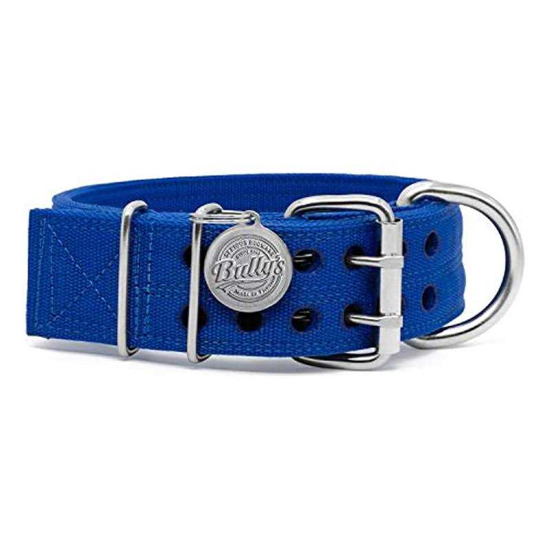 Pit Bull Collar Dog Collar for Large Dogs - Nail Gallerys