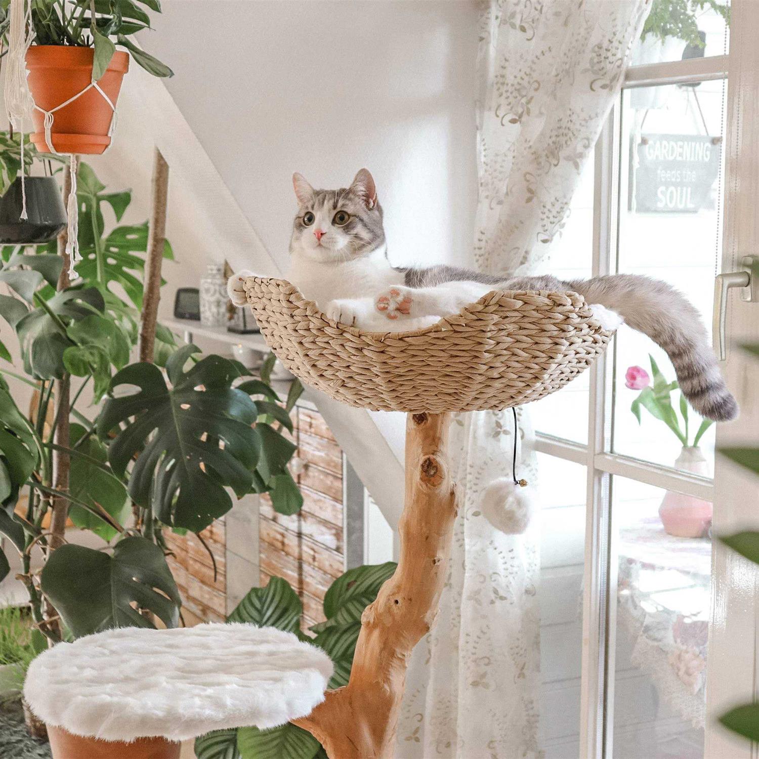 Mau Lifestyle Uni Cat Tree - Nail Gallerys