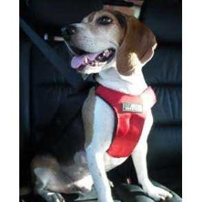 Sleepypod Clickit Sport Plus - Nail Gallerys