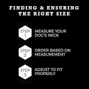 Wolfgang Dog Collar - Nail Gallerys