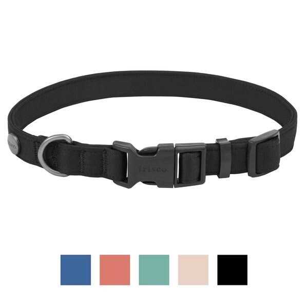 Frisco Dog Collar - Nail Gallerys