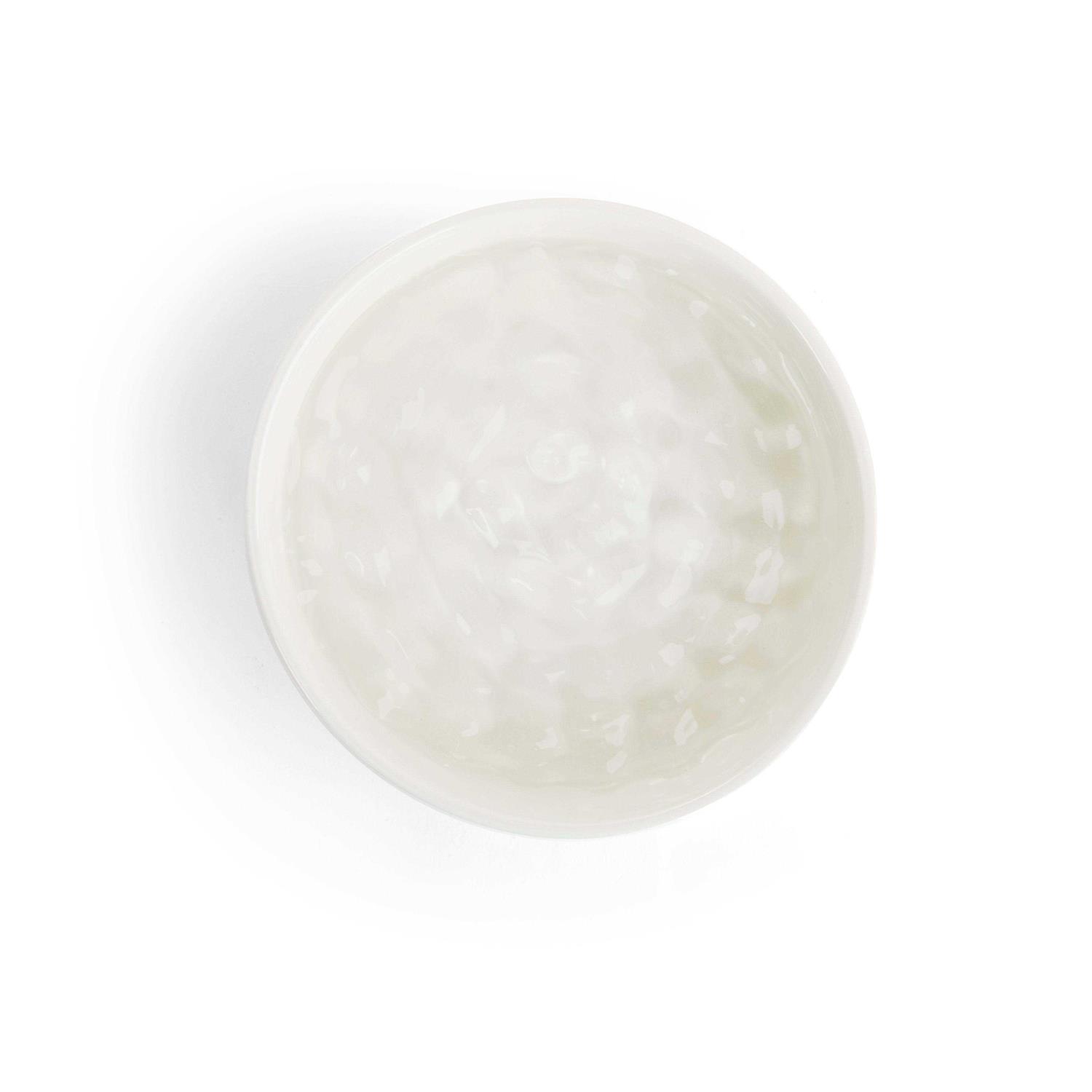 EveryYay Dining in Small Animal Bowl - Nail Gallerys