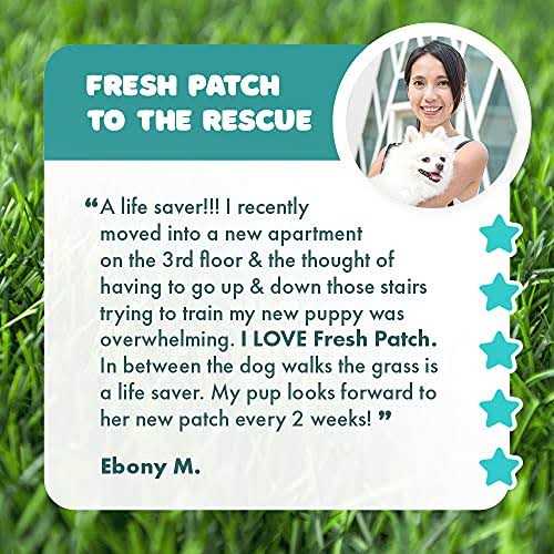 Fresh Patch Large Real Grass Pee and Potty Training Pad for Dogs between 15 and 30 pounds - Nail Gallerys