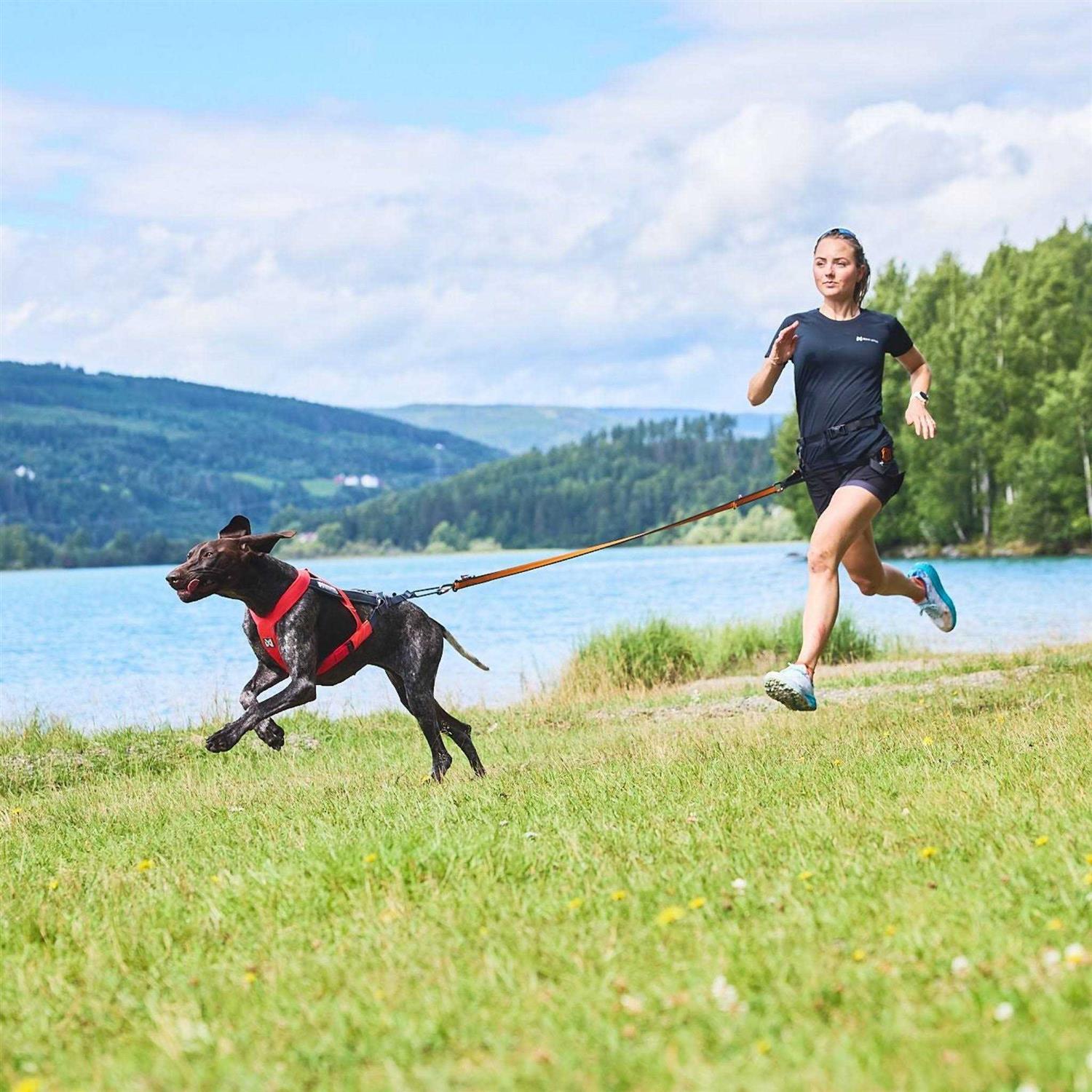 Non-Stop Dogwear Freemotion Harness 5.0 - Nail Gallerys