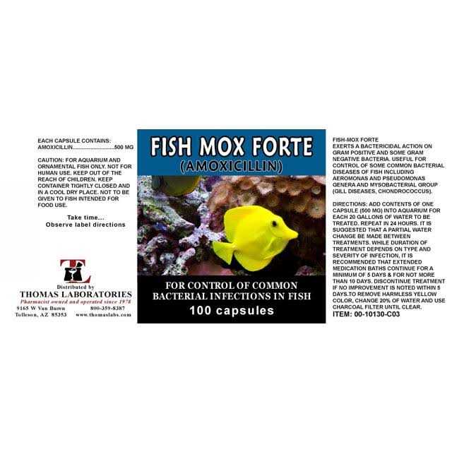 Thomas Labs Fish Flex Forte 500 mg. 100 Capsules - Nail Gallerys