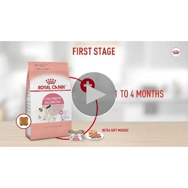 Royal Canin Feline Breed Nutrition Persian Kitten Dry Cat Food - Nail Gallerys